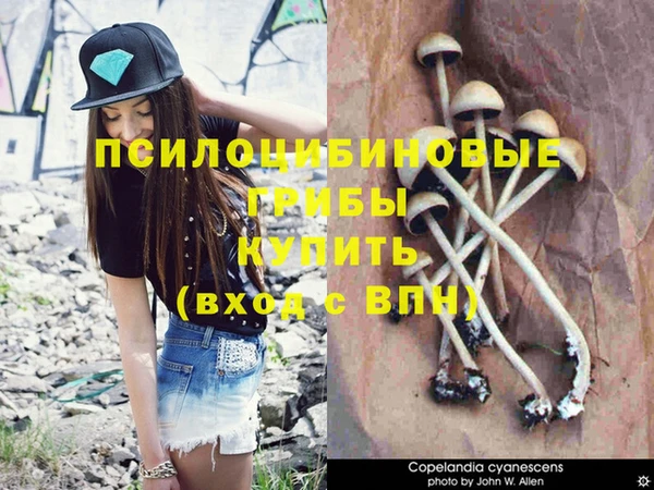 соль курить ск Арсеньев